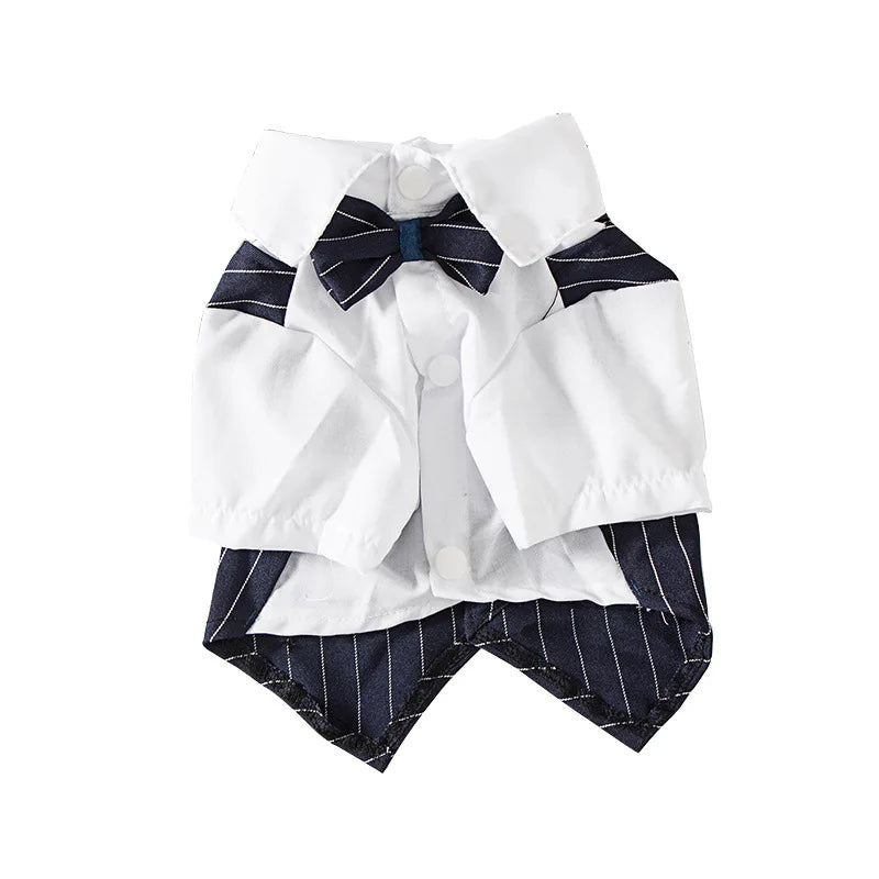 Roupa Formal para Pequenos Cães