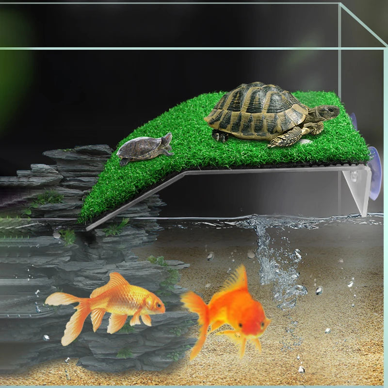 Plataforma de Repouso para Tartarugas