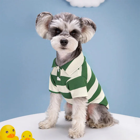 Camiseta Polo para Cães