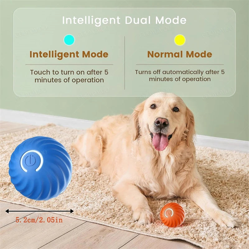 Bola Interativa para Cães e Gatos