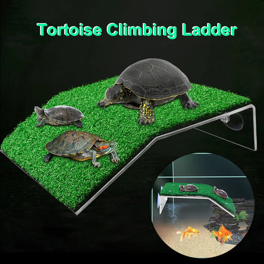 Plataforma de Repouso para Tartarugas