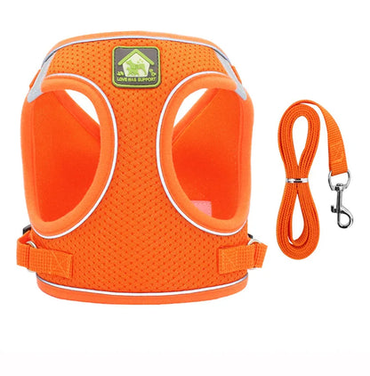 Colete Pet Confortável – Passeio Seguro