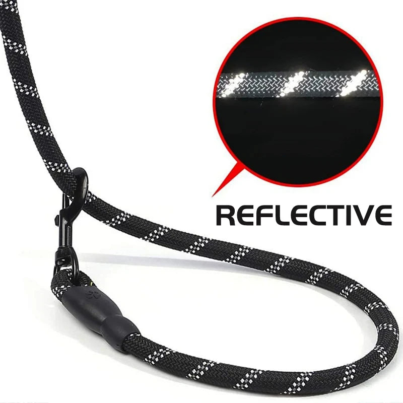 Trela Refletora Longa para Cães
