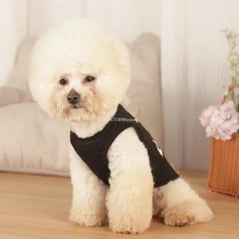 Camiseta de Verão para Cães
