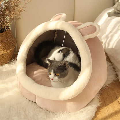 Cama de Gato