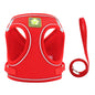 Colete Pet Confortável – Passeio Seguro