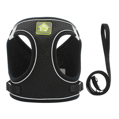 Colete Pet Confortável – Passeio Seguro