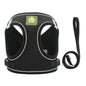 Colete Pet Confortável – Passeio Seguro