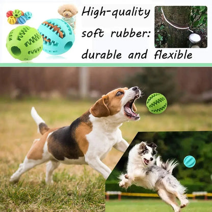 Bola Divertida para Cães