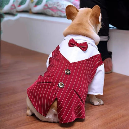 Roupa Formal para Pequenos Cães