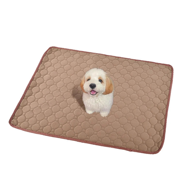 Tapete Absorvente para Cão