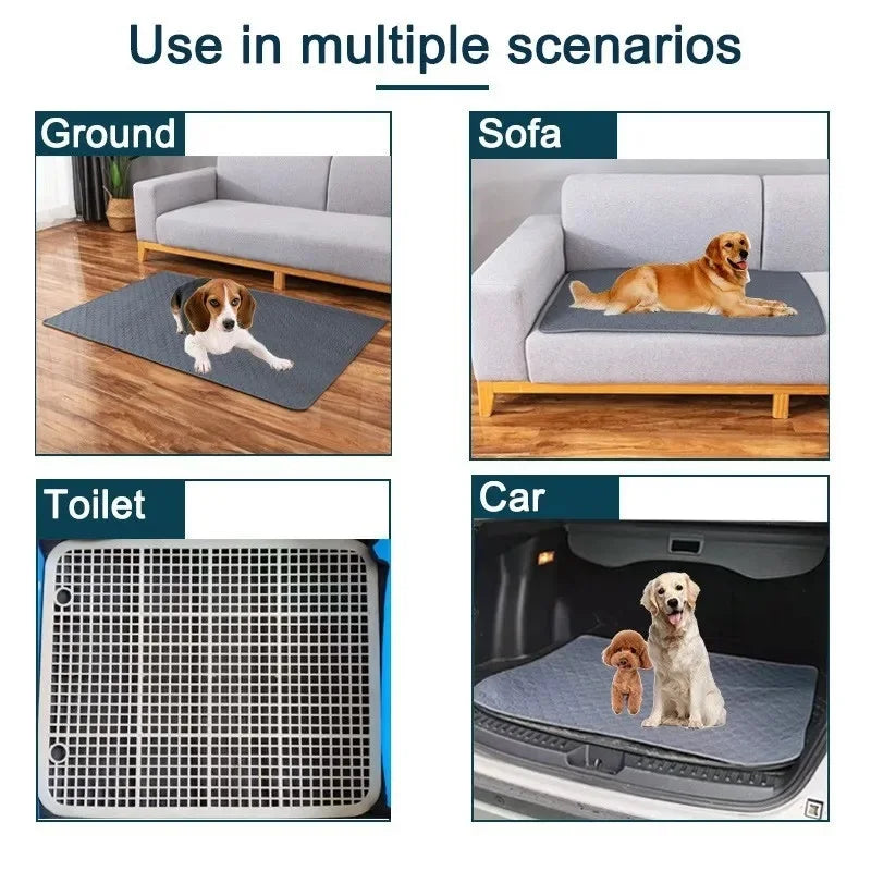 Tapete Absorvente para Cão