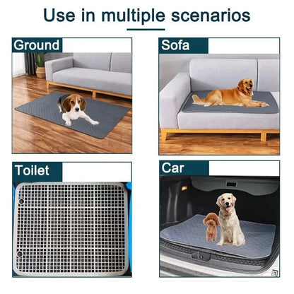 Tapete Absorvente para Cão