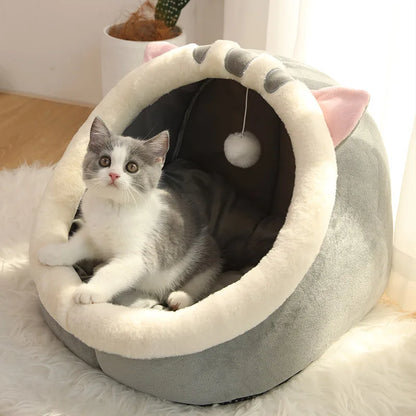 Cama de Gato