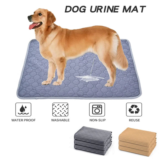 Tapete Absorvente para Cão