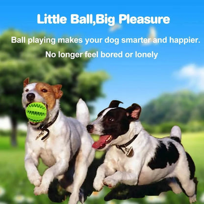 Bola Divertida para Cães