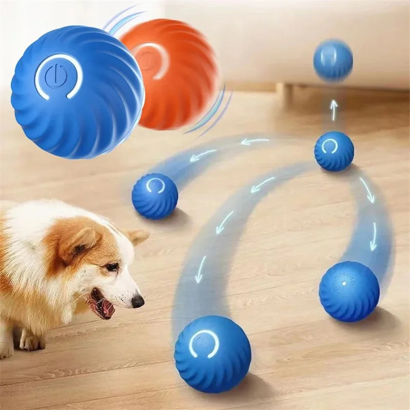 Bola Interativa para Cães e Gatos