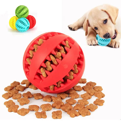 Bola Divertida para Cães