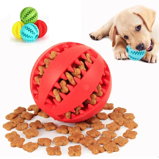 Bola Divertida para Cães