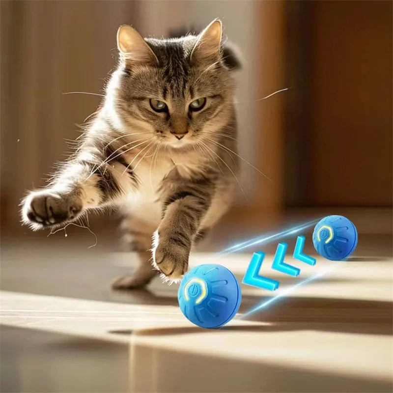 Bola Interativa para Cães e Gatos