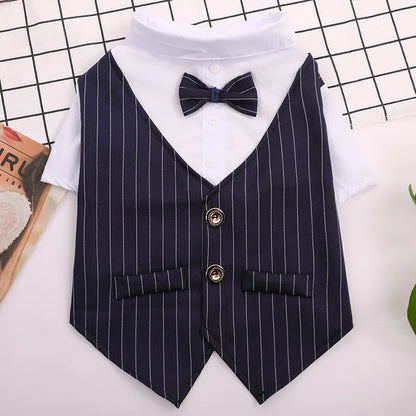 Roupa Formal para Pequenos Cães
