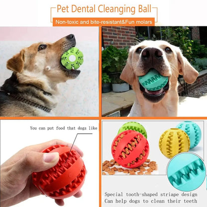 Bola Divertida para Cães