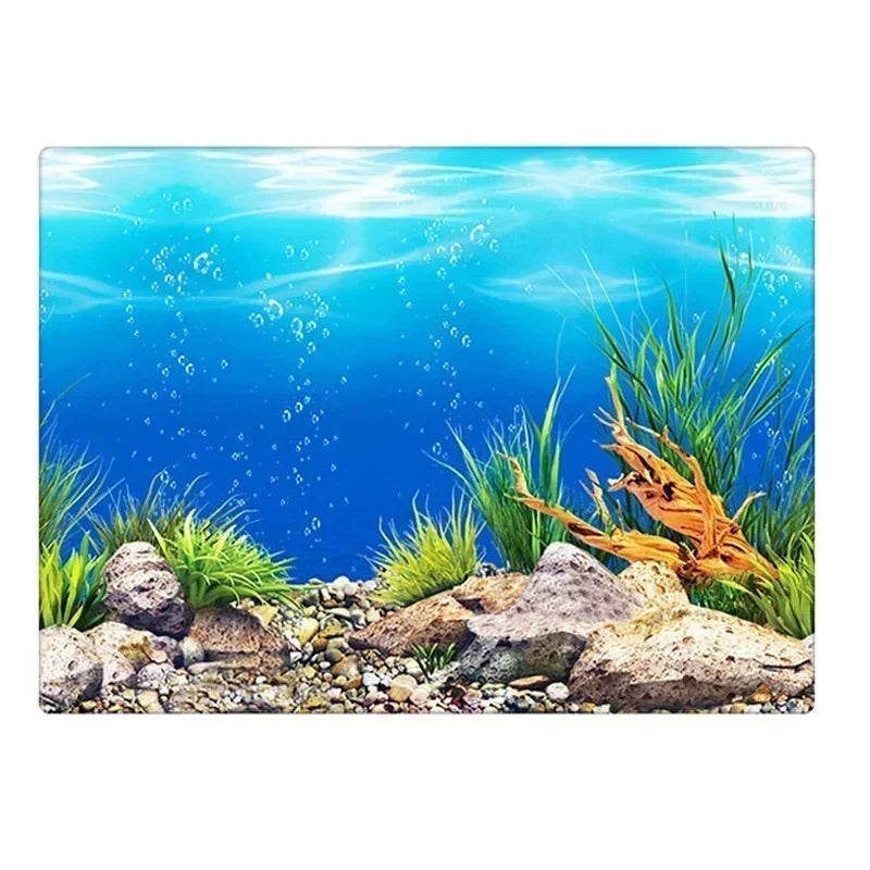 Decoração de Fundo para Aquário 3D