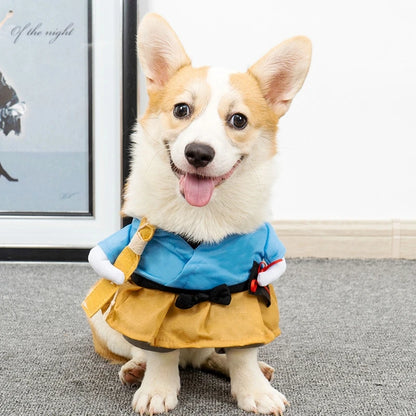 Roupas Divertidas para Gatos e Cães