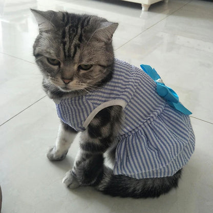 Vestido de Princesa para Gatos