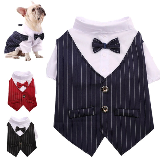 Roupa Formal para Pequenos Cães