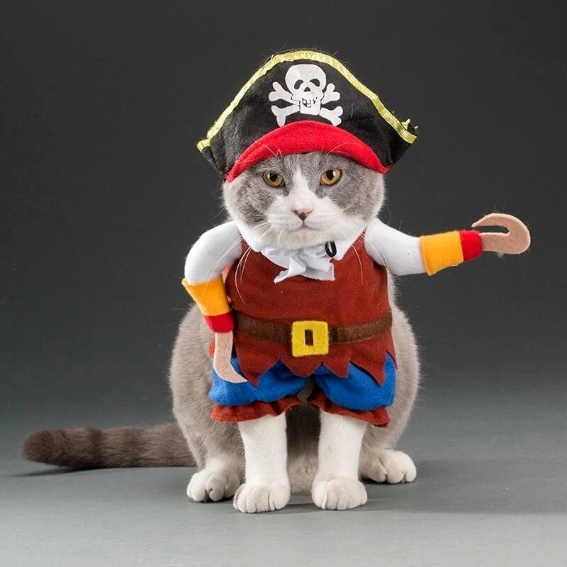 Roupas Divertidas para Gatos e Cães
