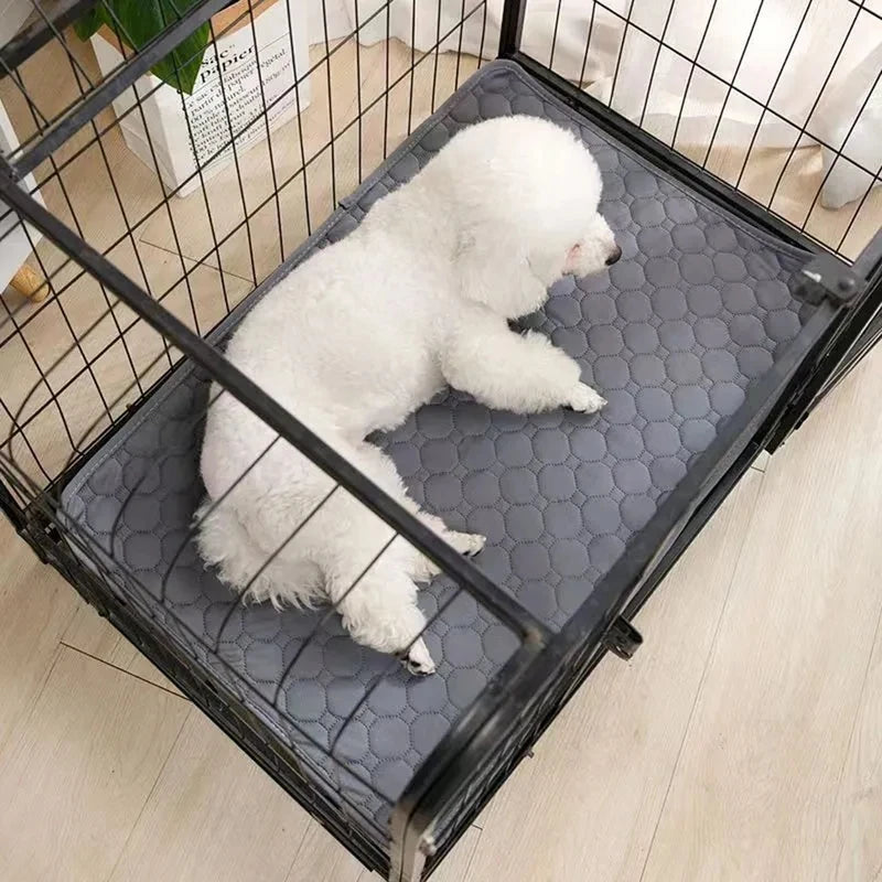 Tapete Absorvente para Cão