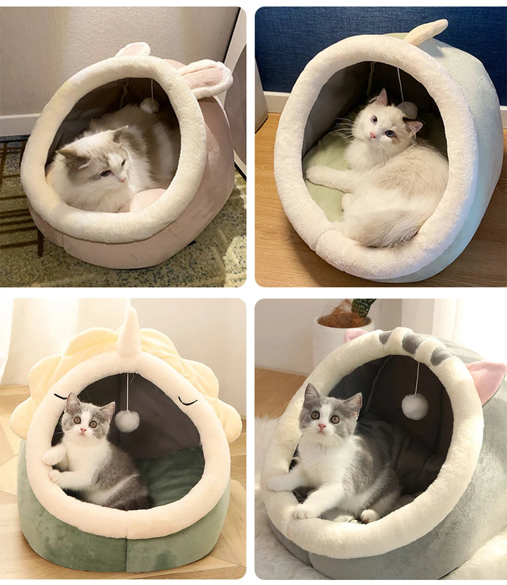 Cama de Gato