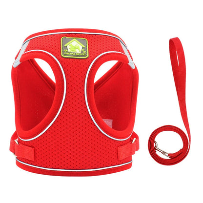 Colete Pet Confortável – Passeio Seguro