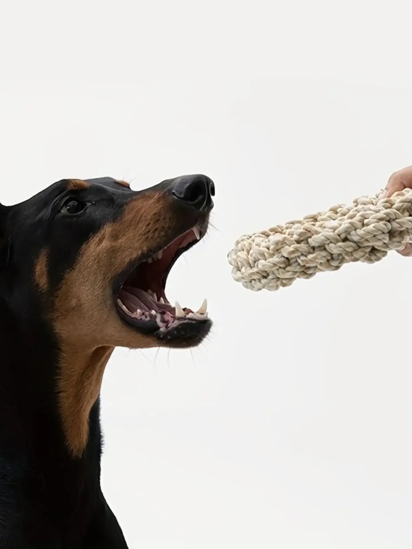 Brinquedo de Corda para Cão