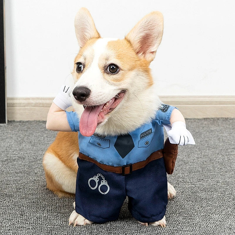 Roupas Divertidas para Gatos e Cães