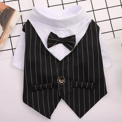 Roupa Formal para Pequenos Cães
