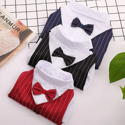 Roupa Formal para Pequenos Cães