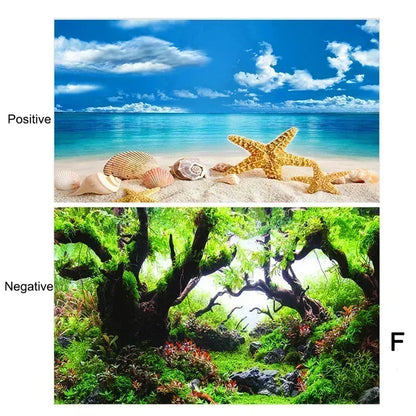 Decoração de Fundo para Aquário 3D
