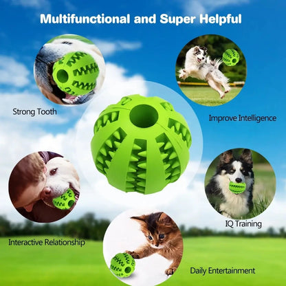 Bola Divertida para Cães