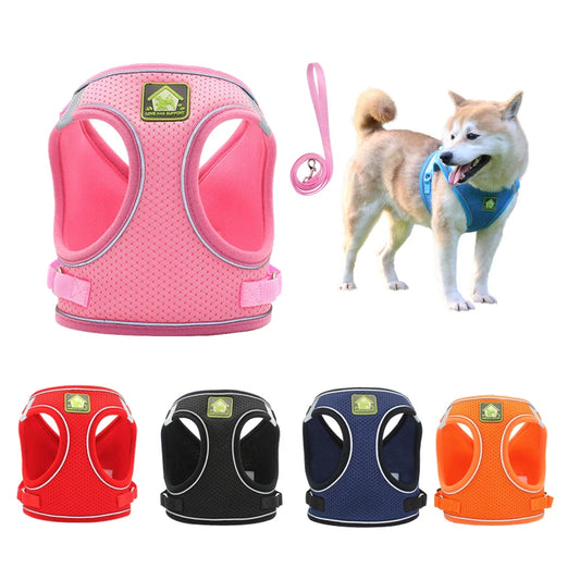 Colete Pet Confortável – Passeio Seguro