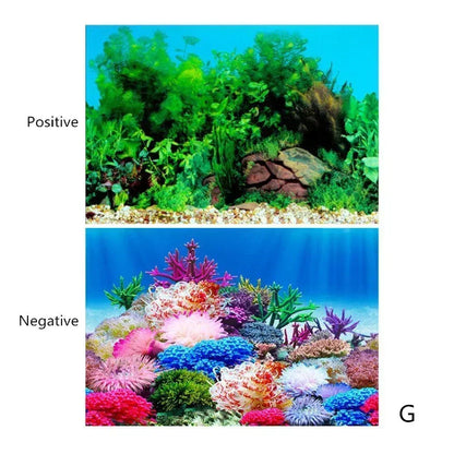 Decoração de Fundo para Aquário 3D