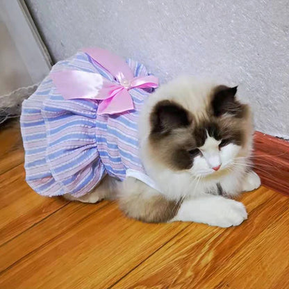 Vestido de Princesa para Gatos