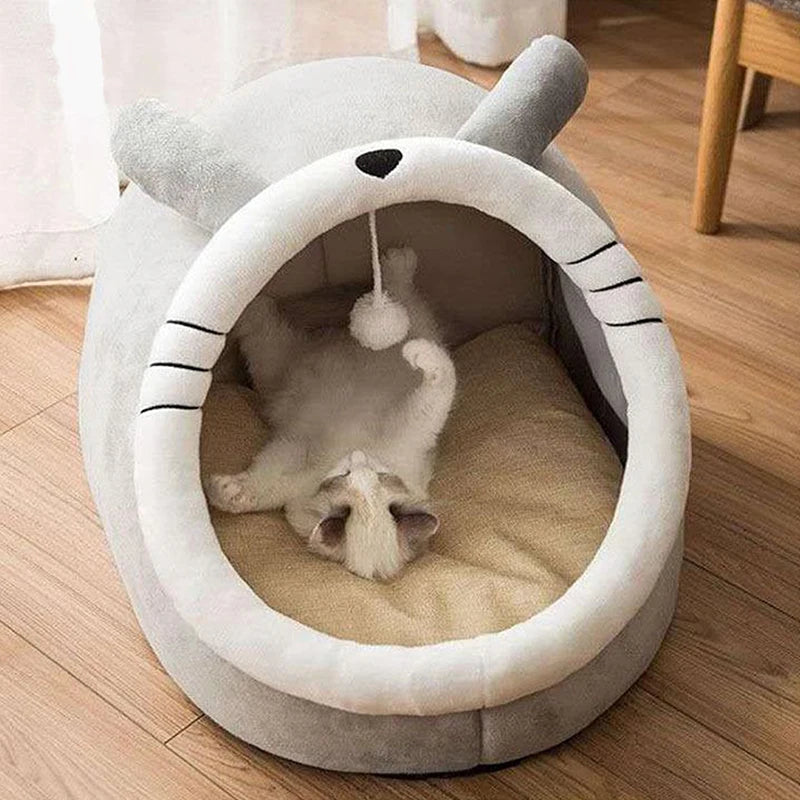 Cama de Gato