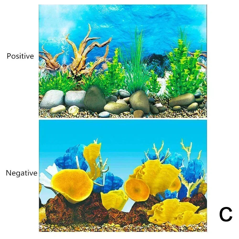 Decoração de Fundo para Aquário 3D