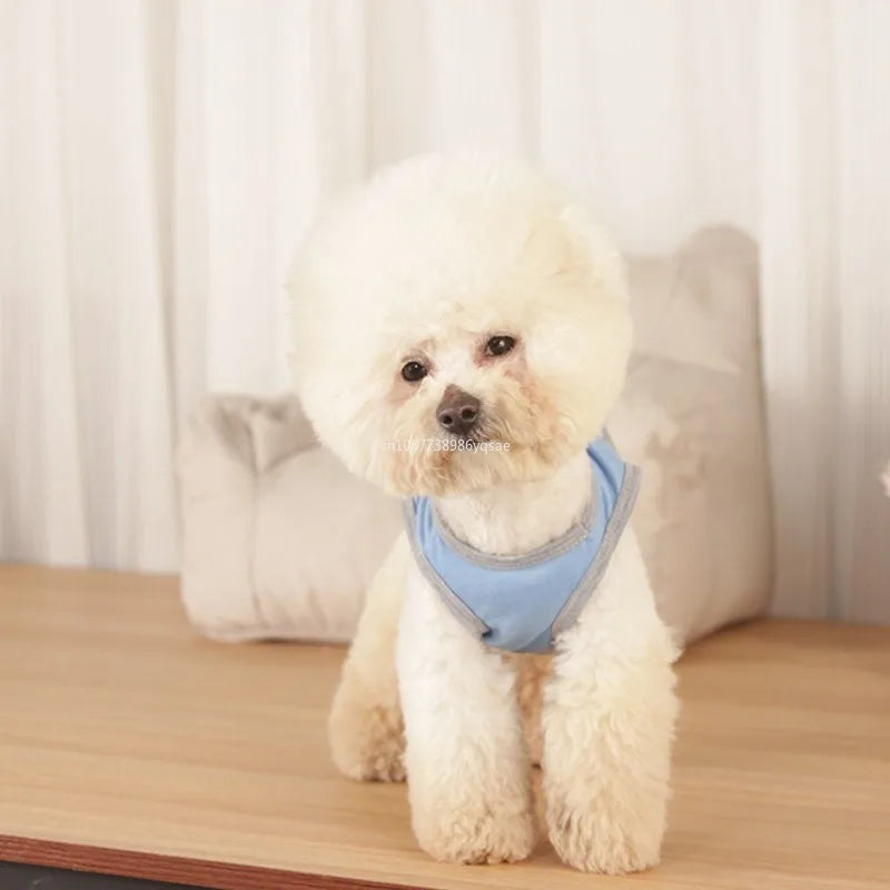 Camiseta de Verão para Cães