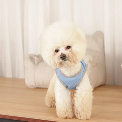 Camiseta de Verão para Cães