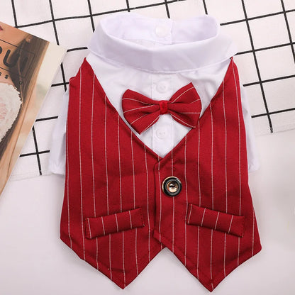 Roupa Formal para Pequenos Cães