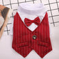 Roupa Formal para Pequenos Cães