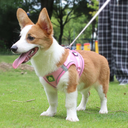 Colete Pet Confortável – Passeio Seguro